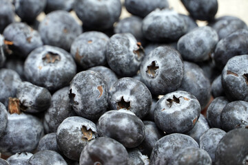 Blueberries fruit in a bowl.