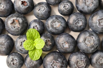 Fresh blueberries with mint leaves. The fruits are actual berries with many tiny seeds and are deep indigo to black color when ripe. Copy space.
