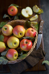 Naklejka na ściany i meble Ripe apples in a basket, with leaves around it