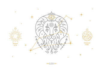 Leo zodiac sign with description of personal features. Astrology horoscope card with zodiac constellation on white background thin line vector illustration © Sunflower