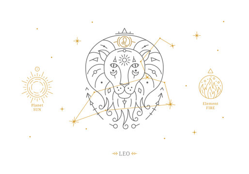 Leo zodiac sign with description of personal features. Astrology horoscope card with zodiac constellation on white background thin line vector illustration