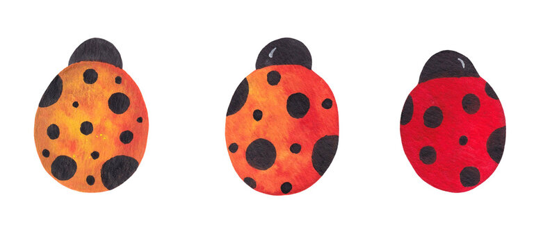 Watercolor  Set  with Ladybirds. Ladybug clipart. Clip Art with Lady-beetles