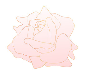 Tropical rose flower gold line art