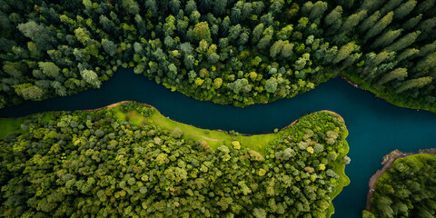 Aerial view of a tropical rainforest with a wild river. Generative AI