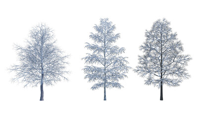 Tree in snow without leaves winter tree set alpha channel cutted tree