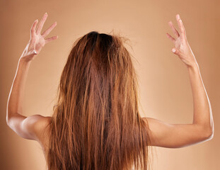 Messy, tangled and back of a woman in a studio with knot, brittle and damaged hairstyle. Dry, frizzy and female model with long and big hair for salon restore treatment isolated by brown background.