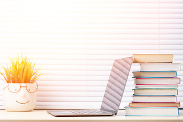 Laptop, books and plant on desk