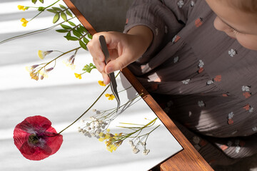  little girl and herbarium. Herbarium from spring flowers. Child making herbarium in home. preparations for craft with kids.