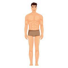 Man body in pants illustration