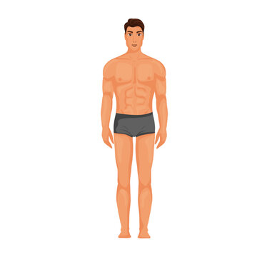 Man body in underwear illustration