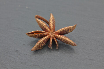 star anise isolated on dark slate