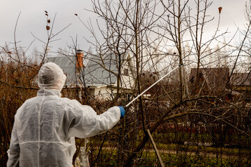 Using chemicals in the garden orchard gardener applying an insecticide a fertilizer to his fruit...