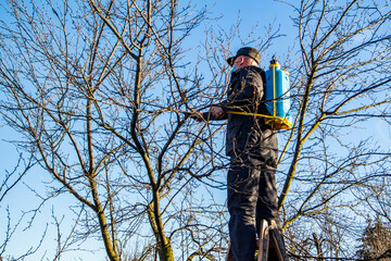 a man sprays trees against pests in the spring. Farmer man spraying tree with manual pesticide sprayer against insects in spring garden. Agriculture and gardening