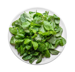 Fresh mint leaves on a plate. Transparent background