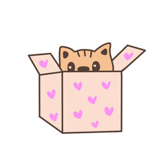 cat with gift, cute kitten with a box