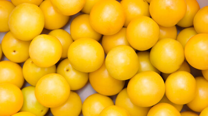 Yellow ripe cherry plum. Fruit background. Seasonal harvest.