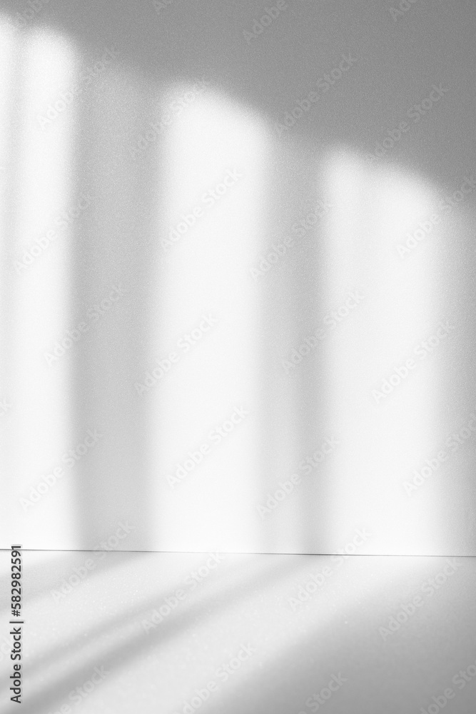 Poster Abstract white studio background for product presentation. Empty room with shadows of window. Display product with blurred backdrop.