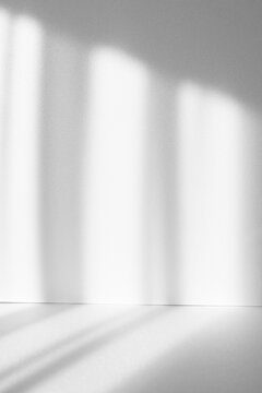 Abstract white studio background for product presentation. Empty room with shadows of window. Display product with blurred backdrop.