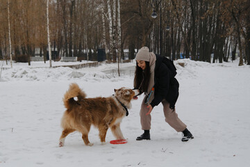 Active energetic playful young Australian Shepherd Red Merle listens attentively and looks at owner. Young brunette woman walks in snowy winter park with dog and plays with red disc toy.