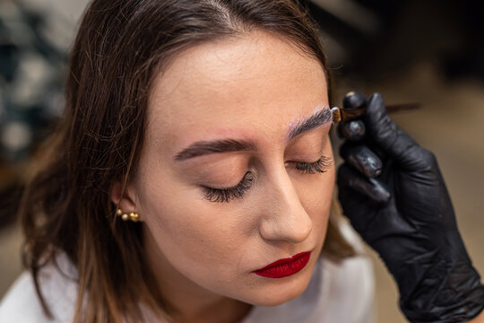 procedure of a beauty salon to paint eyebrows with brush eyebrow dye for client with lashmaker