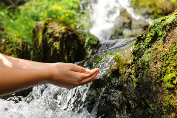 Woman hands catching water from creek - obrazy, fototapety, plakaty