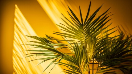 Blurred shadow from palm leaves on the light yellow wall. Minimal abstract background for product presentation   - generative ai