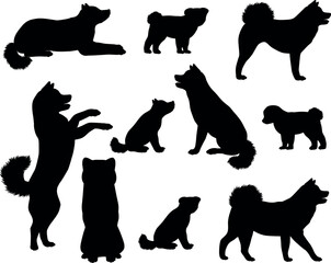 Collection of silhouettes of Japanese Akita or Akita Inu dog breed