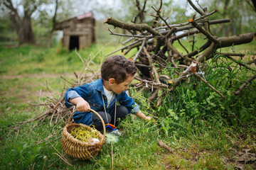 Boy in Easter egg hunt