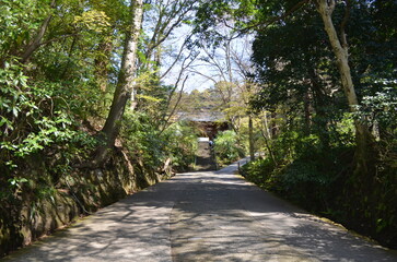 妙本寺参道からの景色