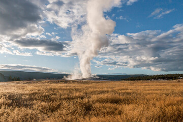 Fototapeta na wymiar column of steam from a geyser of Yellowstone, Wyoming, USA