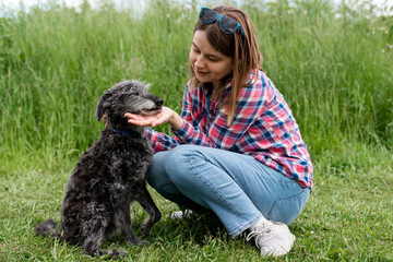 Young woman in pink plaid shirt hugging and petting mixed breed gray fluffy senior dog bedlington...