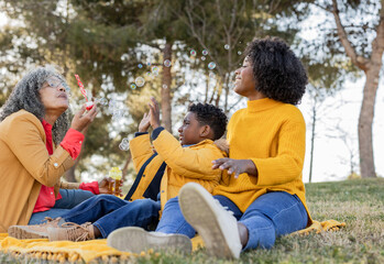 Family spending leisure time together in park