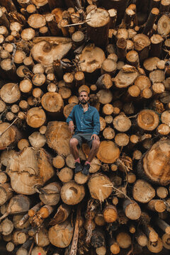 Man sitting on stack of logs in lumberyard