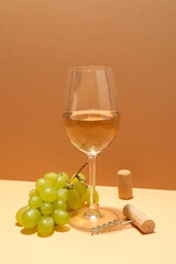 Concept of tasty alcohol drink, wine beverage