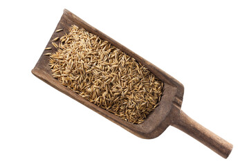 Old wooden spatula filled with cereal grains. Object, retro. On a transparent background.  
