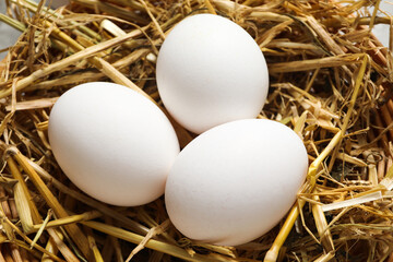 Concept of fresh and natural farm product - eggs