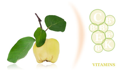 ripe sweet quince  isolated on white background with marking of vitamins found in quince