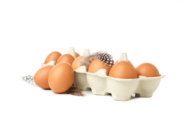 Ingredient for making breakfast - eggs, isolated on white background