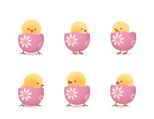 Chicks in lower part of broken Easter eggs with flowers set