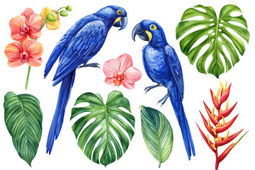 Watercolor tropical blue parrot and Flowers, palm, monstera. Jungle leaves set white isolated background, hand drawing