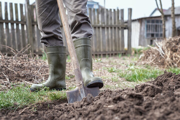 Shovel in the soil outdoors. Metal old shovel in the black soil of the earth in the vegetable garden, in the spring garden during agricultural work. Garden tools.