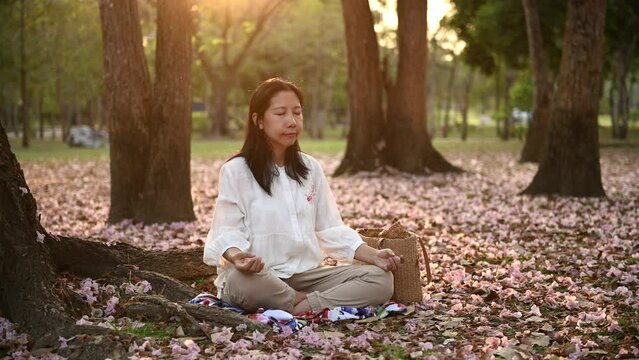 young Asian woman practicing yoga meditation for mindfulness after work in the park, sitting on grass and pink flower petals fall , meditating with closed eyes under tree in garden park