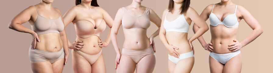 Beauty image of a group of women with different body shape, mixed female fat and thin models in...