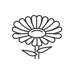 Daisy flower icon. High quality black vector illustration.