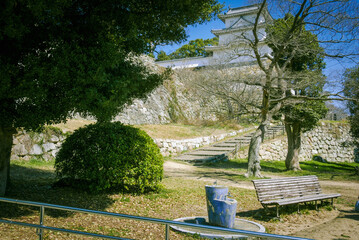 兵庫県・明石城跡、石垣と3月の雪柳の自然樹形