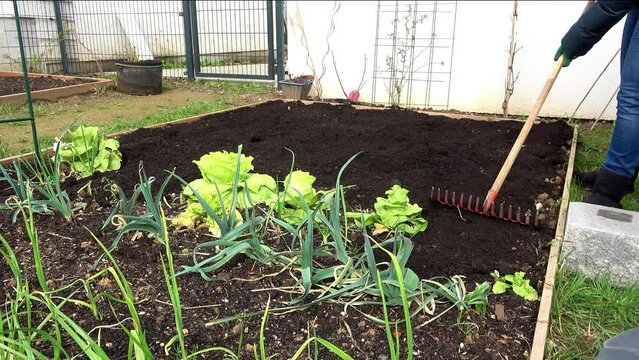 Adding compost in garden Soil
