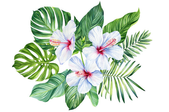 Palm leaf, hibiscus flower on isolated background, hand drawn watercolor painting. Tropical greeting card, clipart