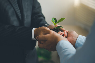 Business hands holding green plants together are the symbol of green business company. agriculture...