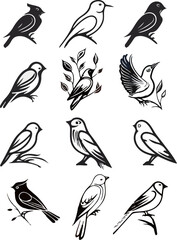 Vector drawing. Black and white set of various birds, for your design.