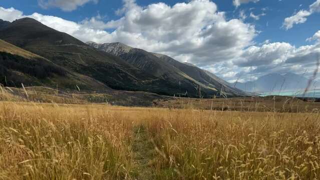 Narrow trail leading through dry grassland of windswept plains near lake Ohau, NZ